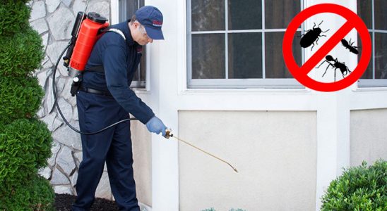 Yusufeli Kene İlaçlama böcek ilaçlama ve haşere kontrolü — ilaclama-tr.com